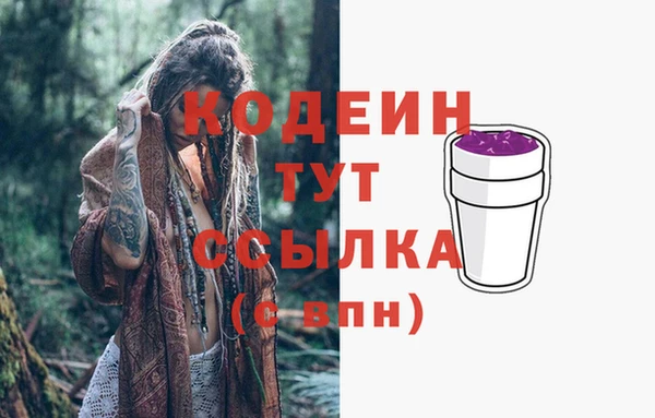 шишки Богородицк